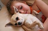 ENFANT ET CHIEN 529